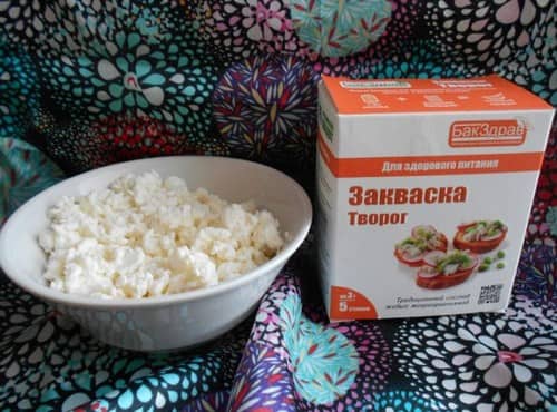 zakvaska-dlya-tvoroga