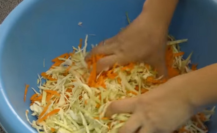 Квашеная капуста на зиму в банках: 10 лучших рецептов очень вкусной капусты стадии 46