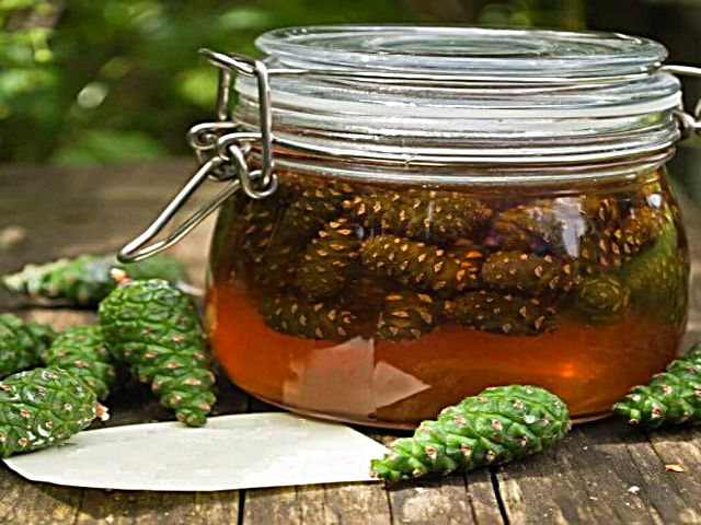 kislota-varenie-iz-sisek-recept.jpg