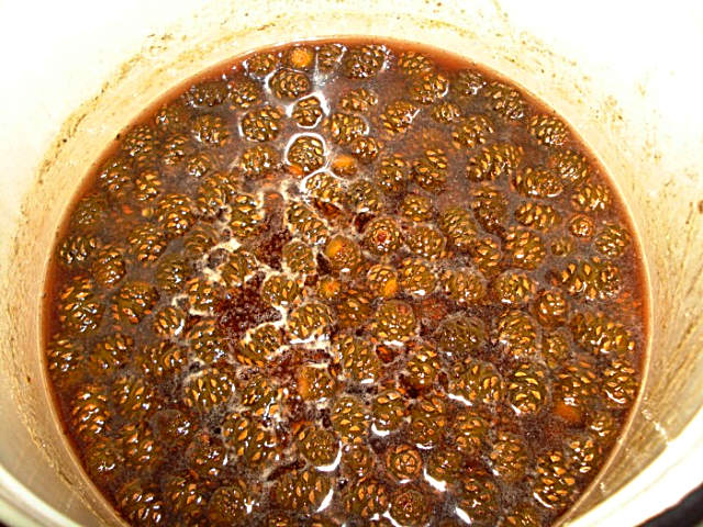 varitsa-varenie-iz-sisek-recept.jpg