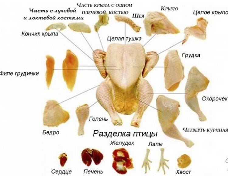 как разделывать курицу
